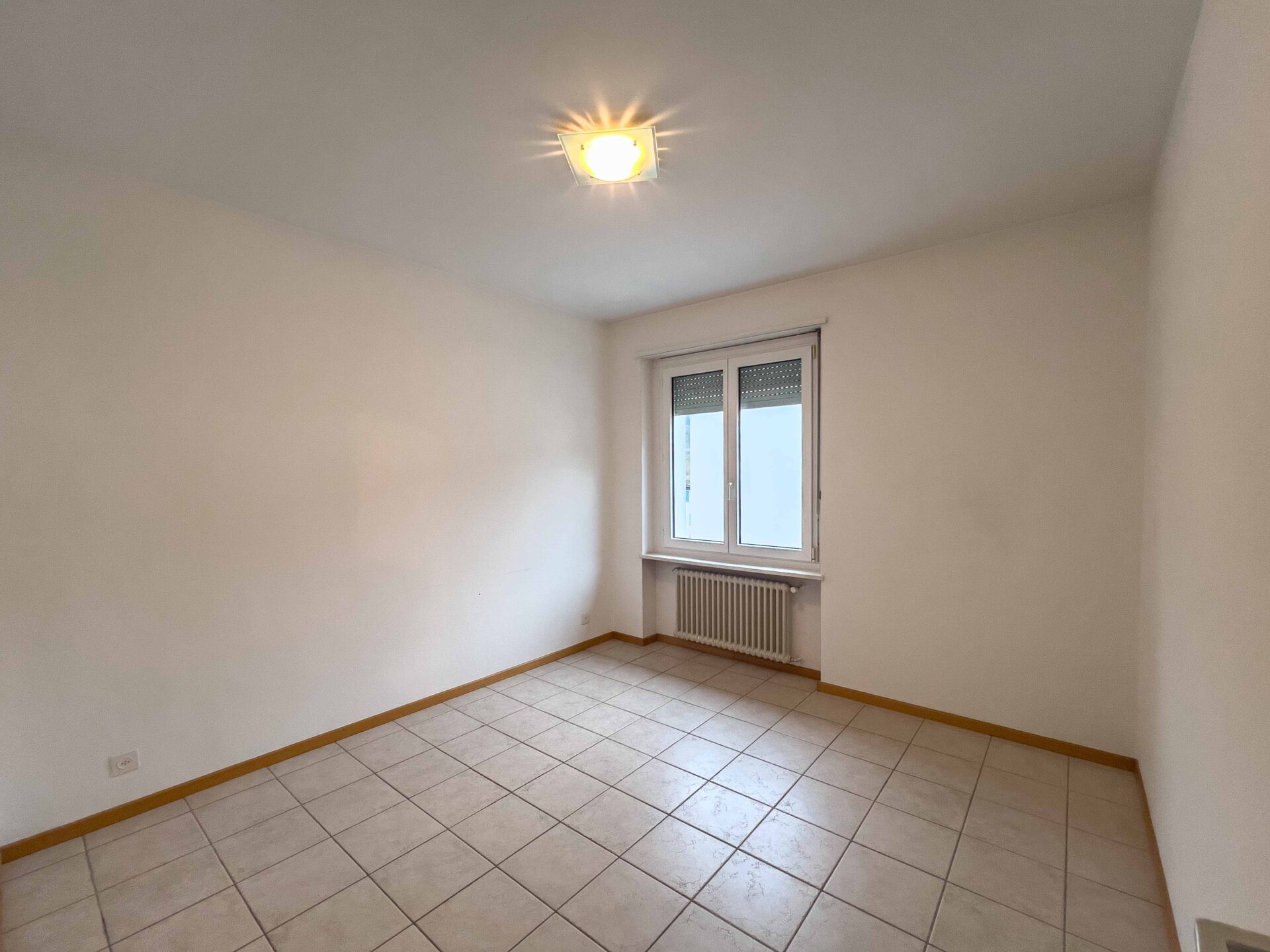 3.5-Zimmer-Wohnung in Lamone zu verkaufen