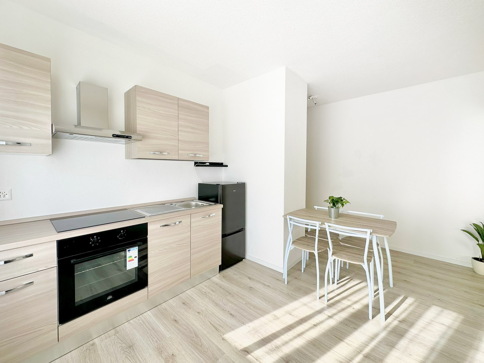 Renovated apartment for sale in Lamone