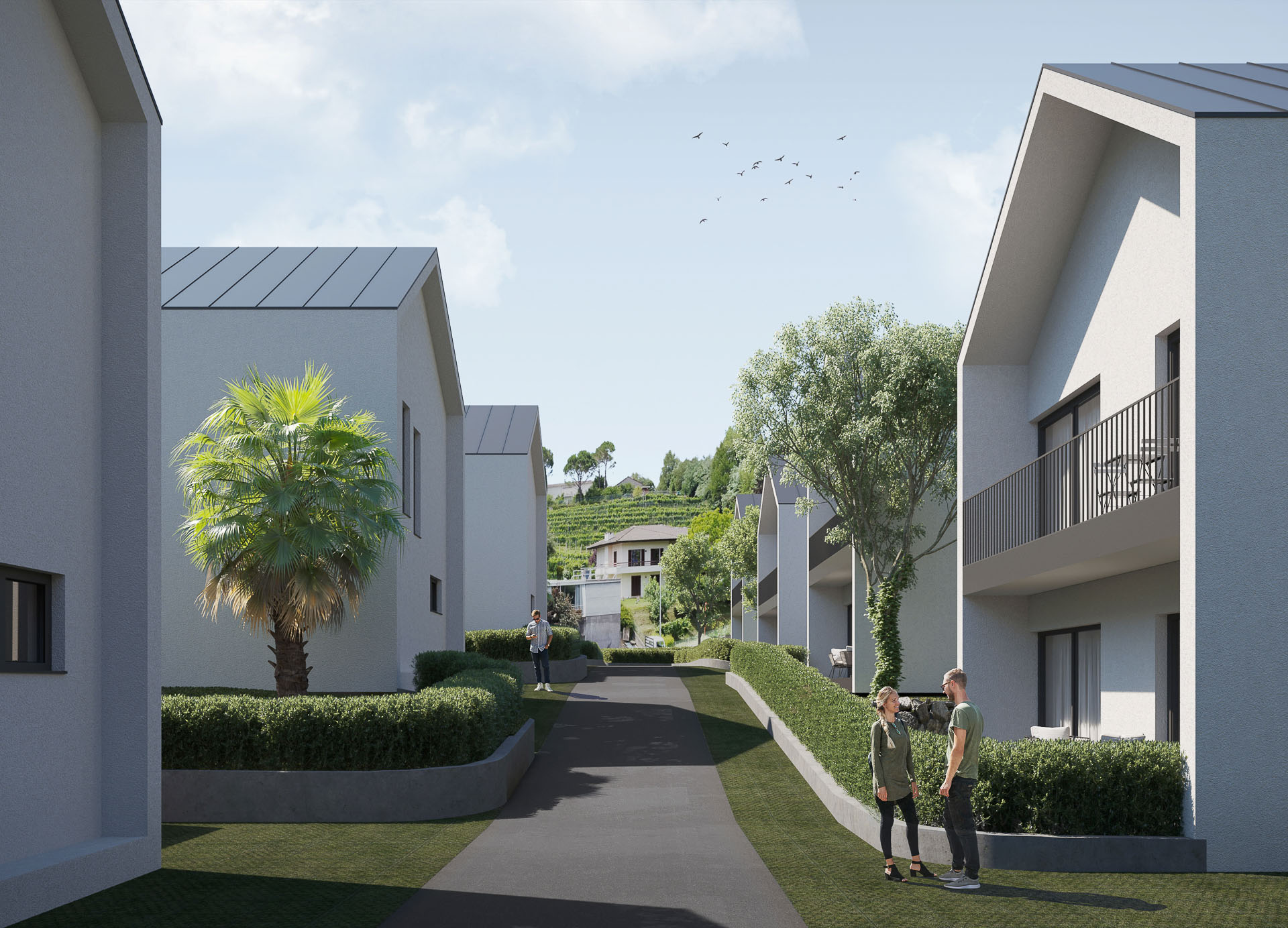 Modern semi-detached house with garden in Mendrisiotto Modern semi-detached house with garden in Mendrisiotto