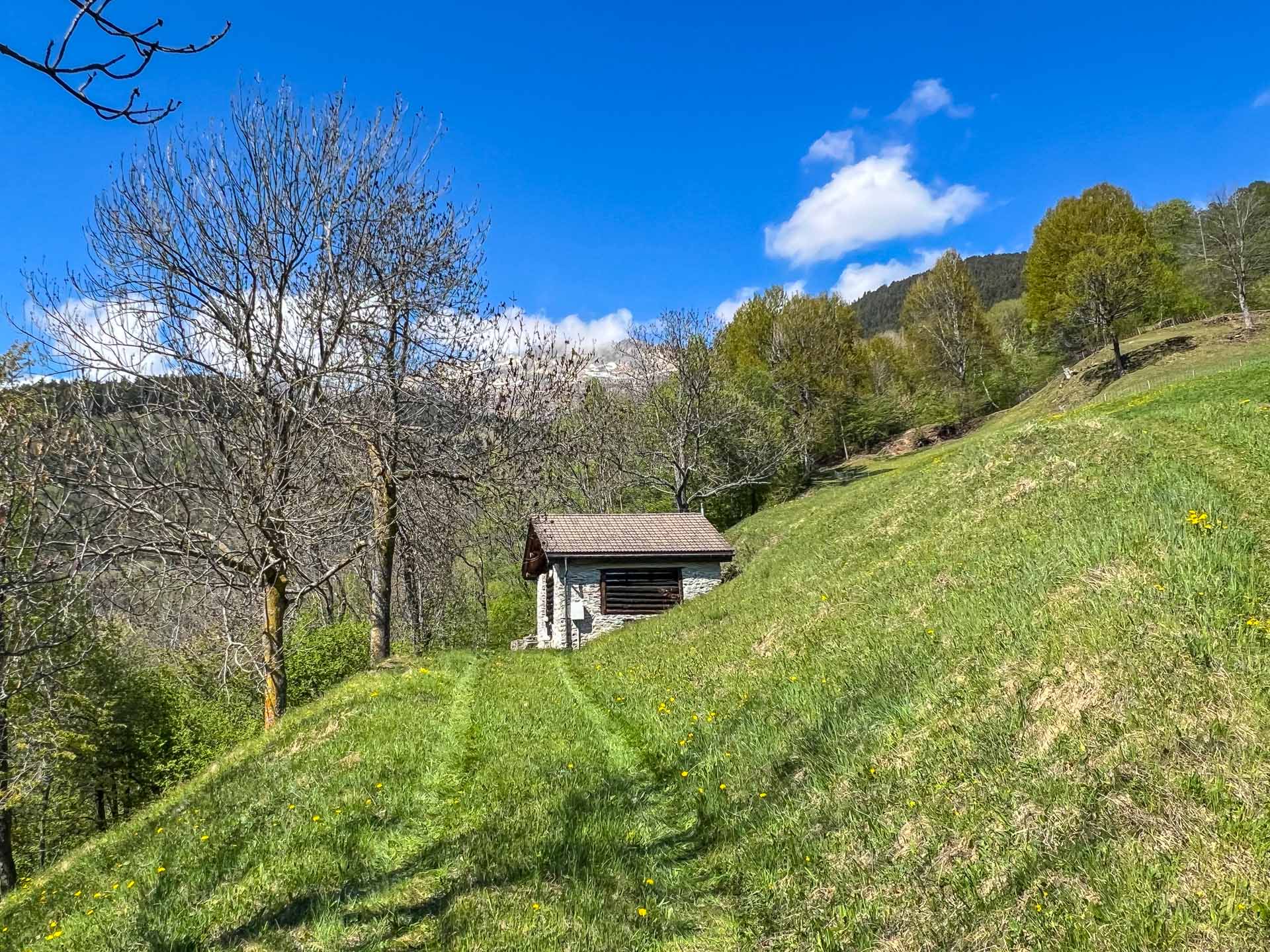 Landhaus mit großem Grundstück in Faido zu verkaufen Landhaus mit großem Grundstück in Faido zu verkaufen