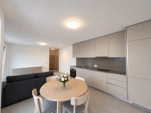 Nuovo appartamento arredato in prima locazione a Mendrisio