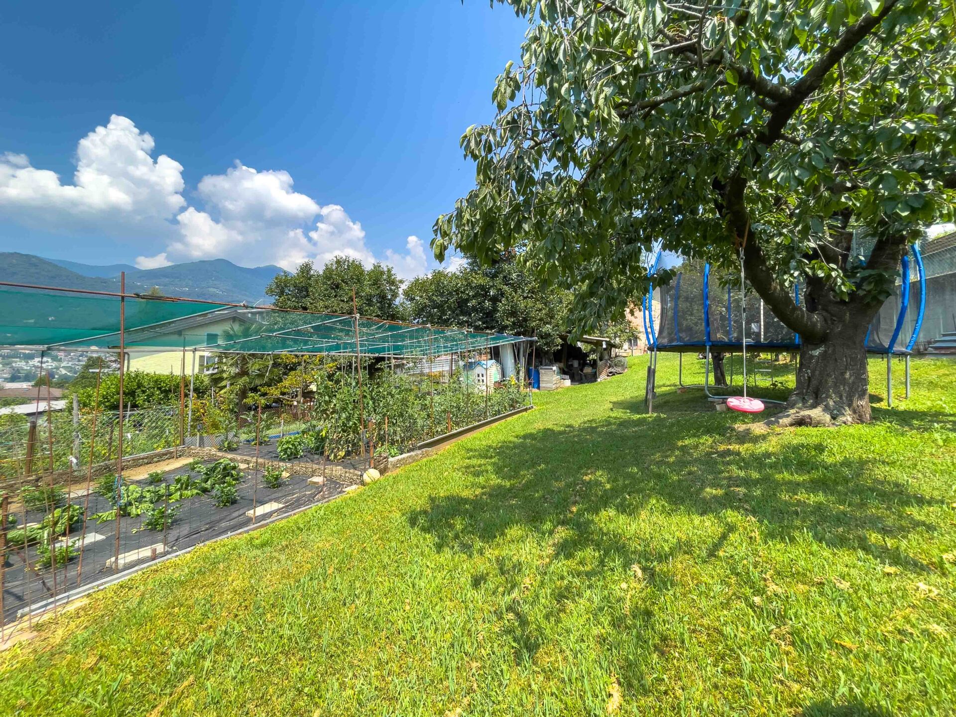 Building land for real estate transaction in Cadempino